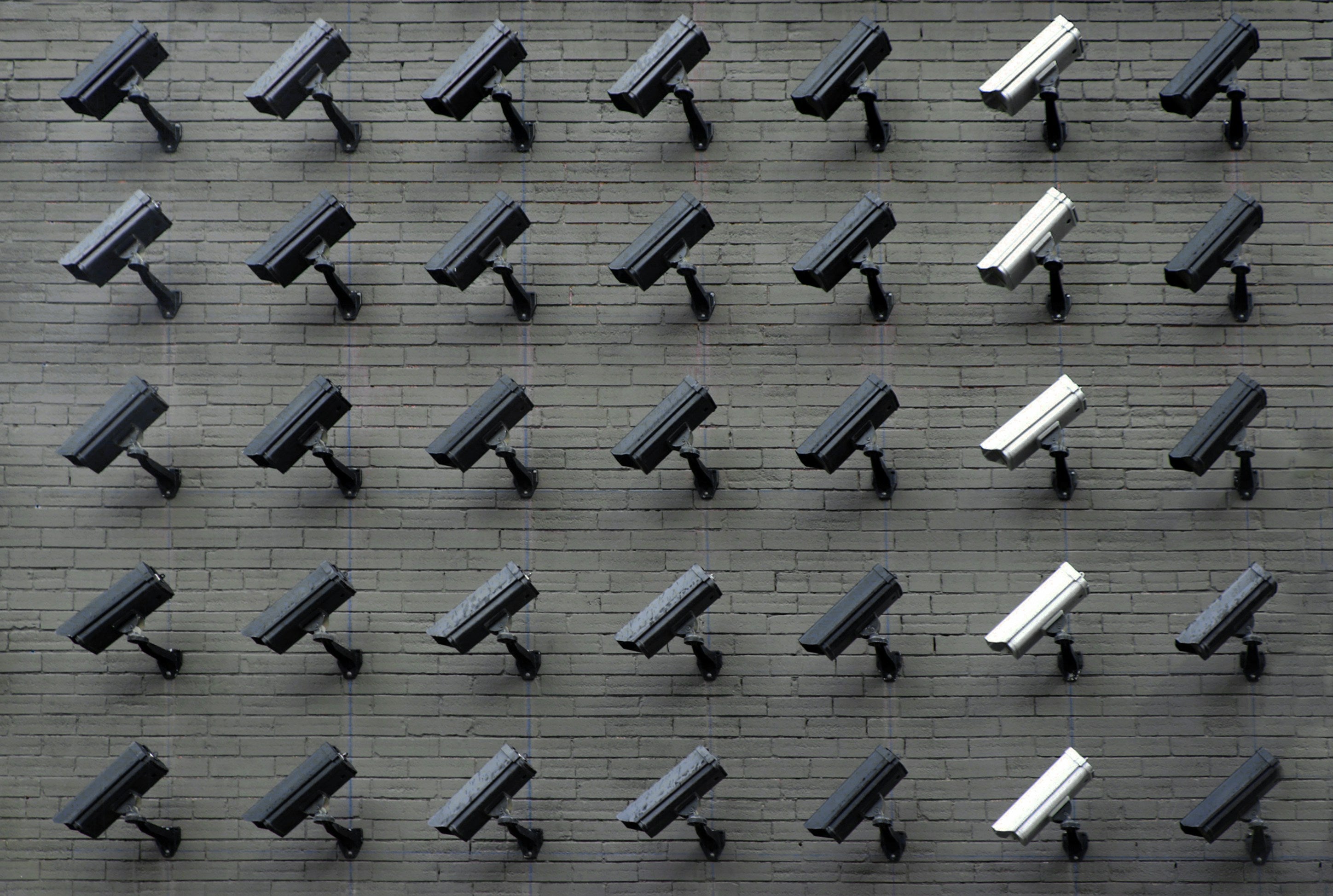 Privacy Policy