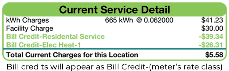 Current Service Detail