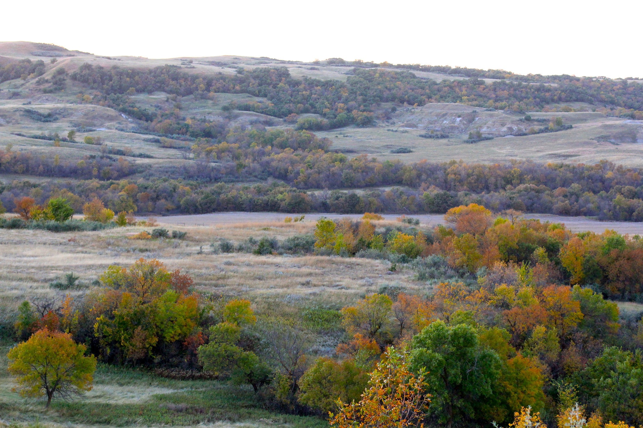 Fall Landscape