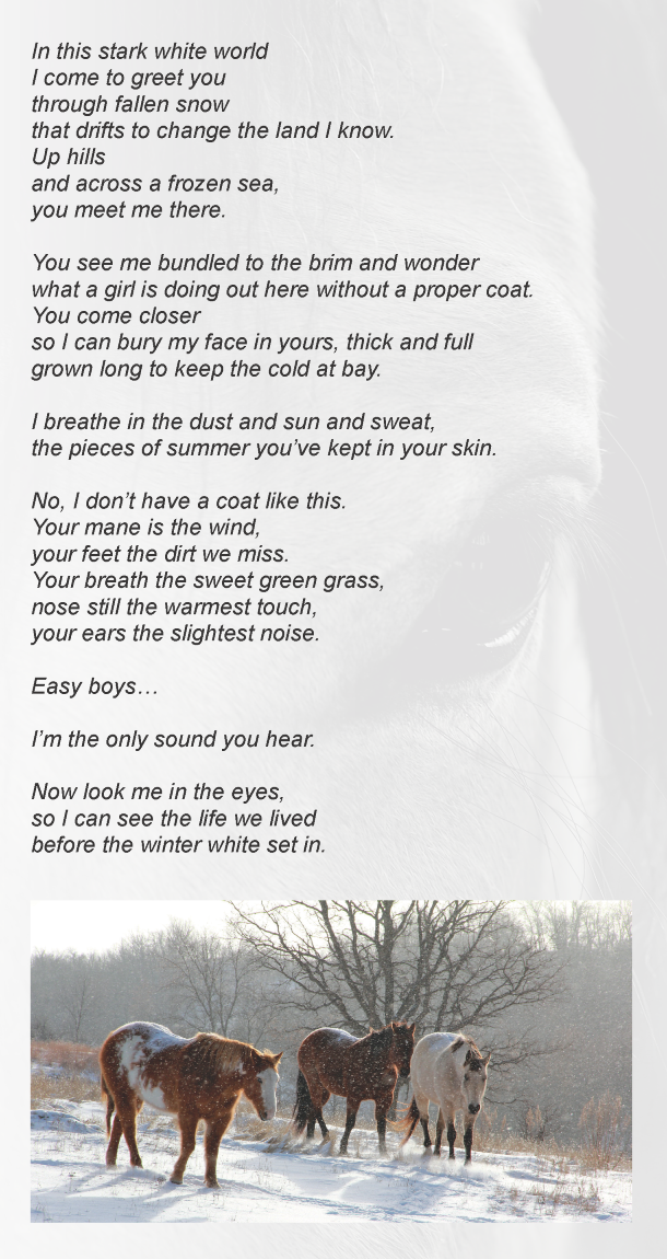 WinterHorses_Poem_web.png