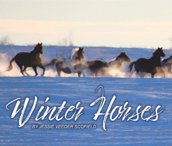 winter horses 